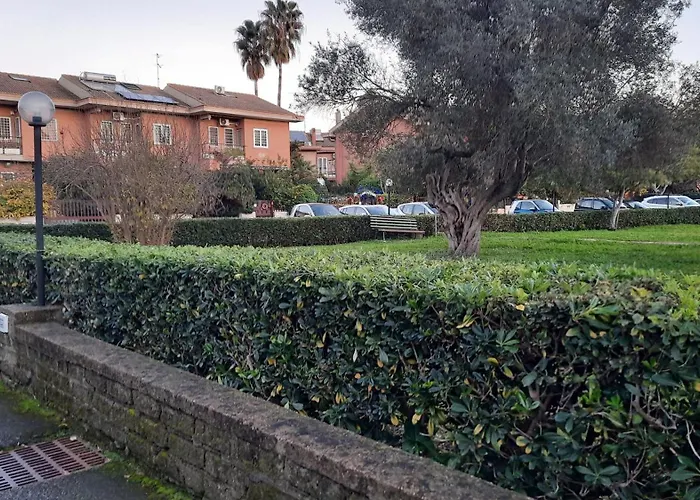 La Mattina - Fiera Di - Aeroporto Fiumicino