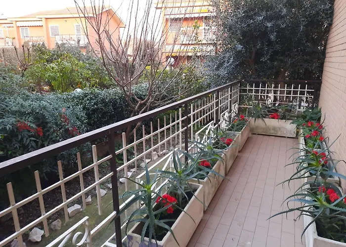 La Mattina - Fiera Di - Aeroporto Fiumicino